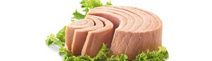 Ideal protein tuna recipe for weight loss